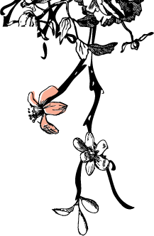 Mommy Jammies Outfit